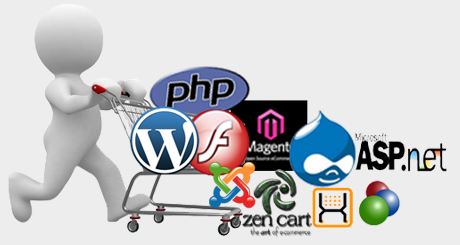 Our Portfolio